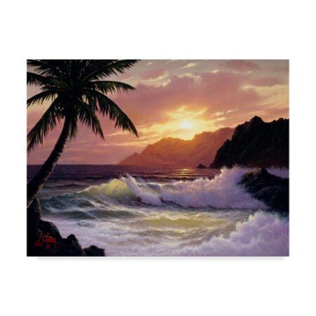 Trademark Fine Art Anthony Casay 'Tropical Coast 2' Canvas Art, 14x19 ALI20316-C1419GG
